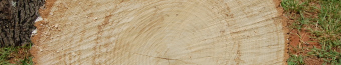Charlotte Firewood- Cut Ash Hardwood / Mark's Firewood